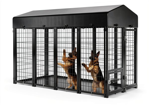 Guiferland Rustproof Outdoor Dog Kennel with Doggy Door 2PCS-3