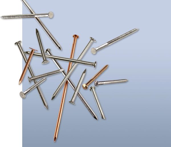 Simpson Strong-Tie Ring Shank Siding Nail 304 Stainless, 600 pcs-6